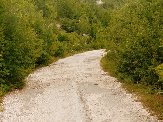 Rocky road