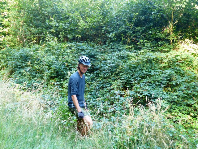 Chandler and the blackberry patch